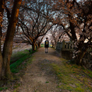 馳せる(2014)